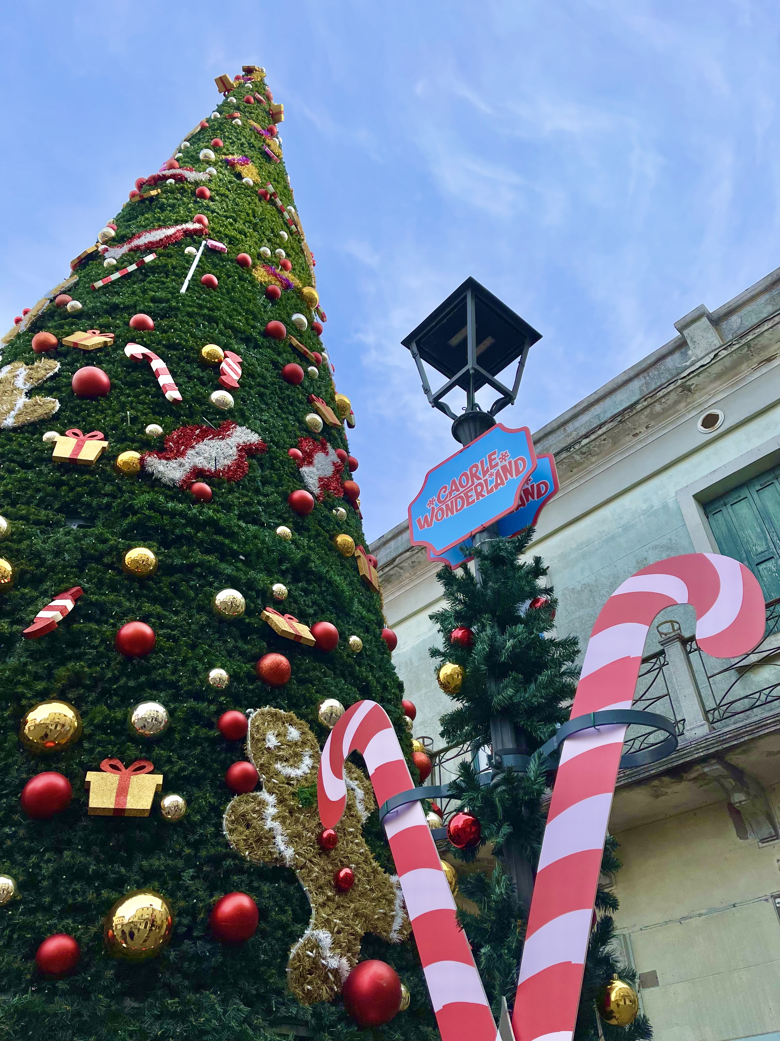 04 12 2021 Den Weihnachtsbaum Anzünden