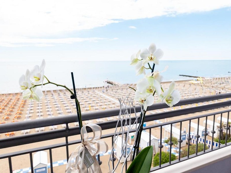 Hotel Nettuno