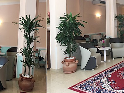 Hotel Erika