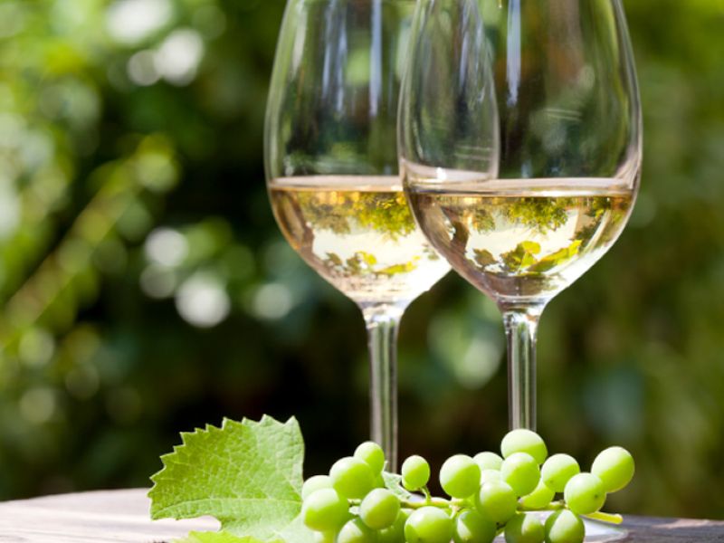 Le cantine del territorio - Vino Veneto