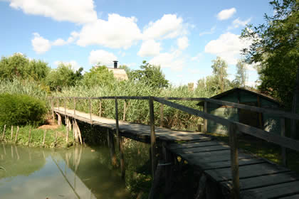 Isola dei Pescatori - Falconera - Caorle