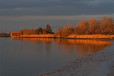 Fotografie ed immagini di Caorle