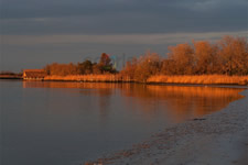 Fotografie ed immagini di Caorle