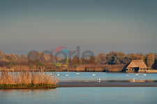 Fotografie ed immagini di Caorle