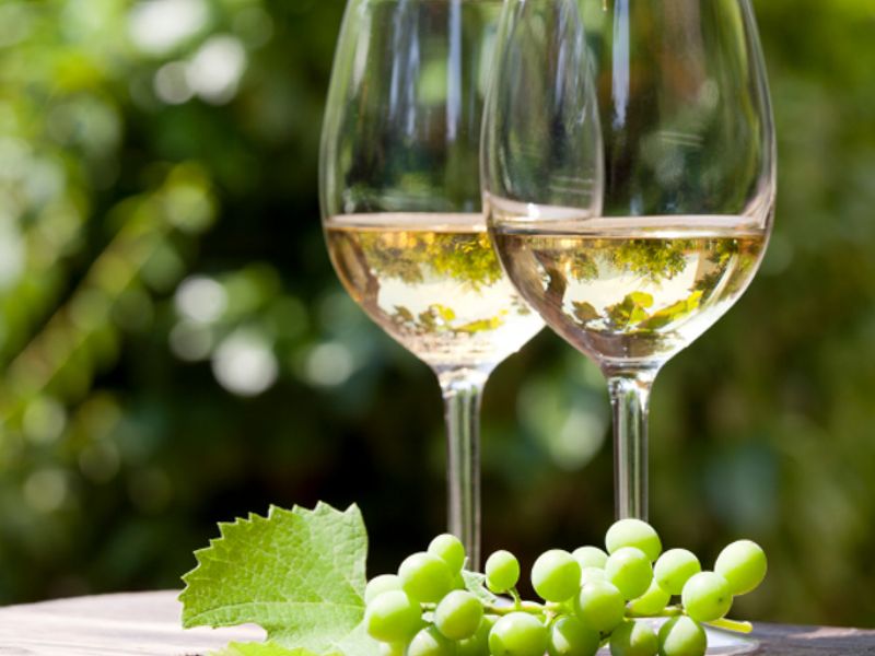 Le cantine del territorio - Vino Veneto